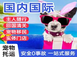 福成机场托运国际宠物托运 【国